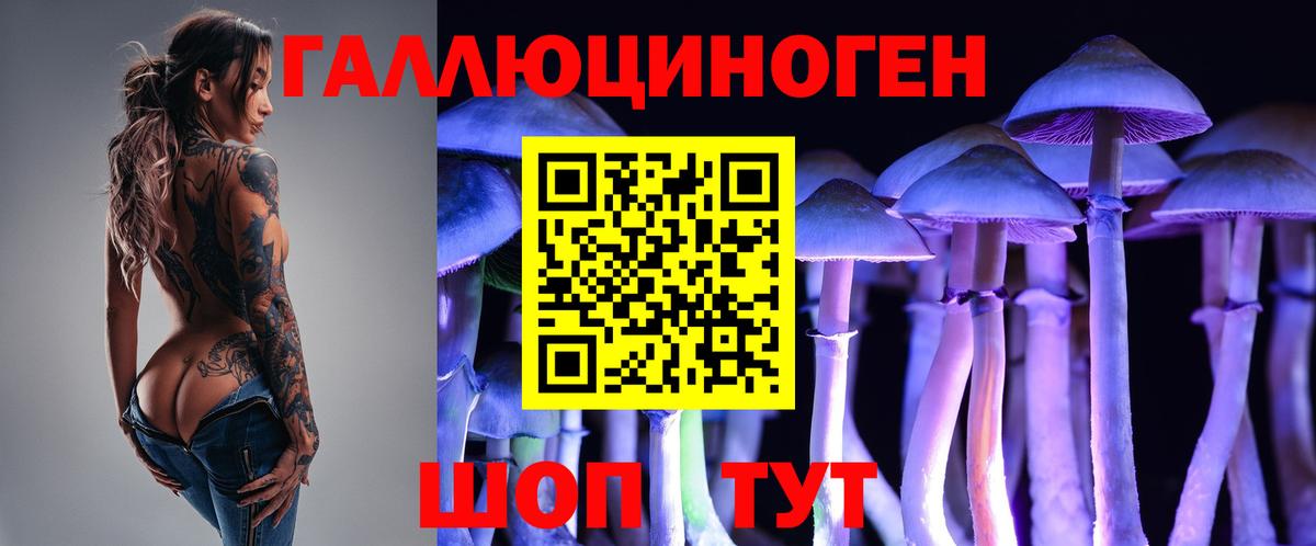 Галлюциногенные грибы ЛСД  Галлюциногенные грибы GOLDEN TEACHER  Вход с VPN  Качканар 